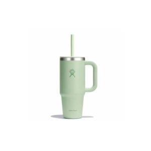 Hydro Flask All Around Aloe termosmuki, 700 ml